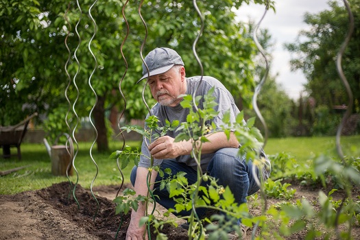 Is Gardening Physically & Mentally Beneficial for Aging Adults in Amarillo, TX